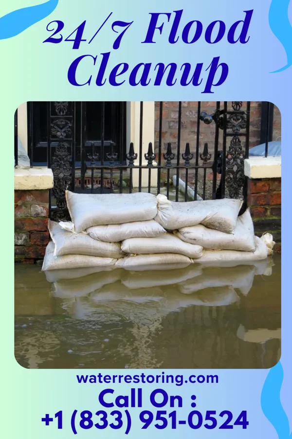 24/7 Flood Cleanup in White House, TN