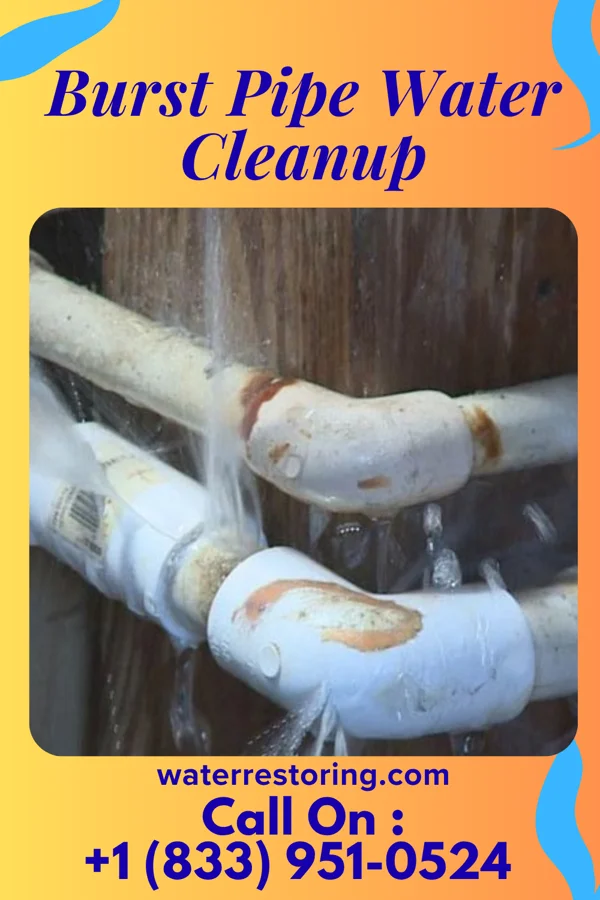 Burst Pipe Water Cleanup in White House, TN
