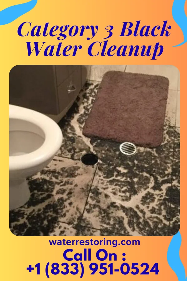 Category 3 Black Water Cleanup in White House, TN