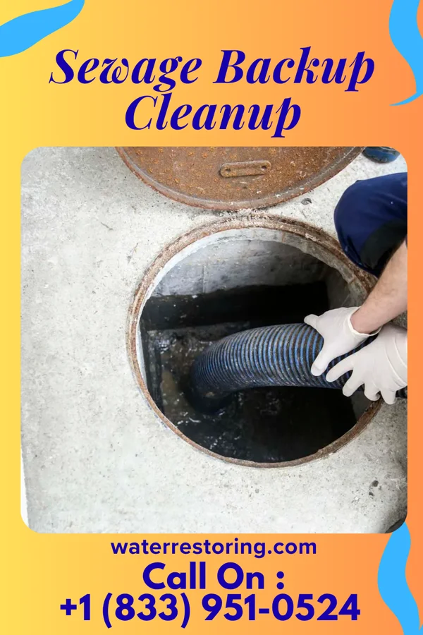 Sewage Backup Cleanup in White House, TN