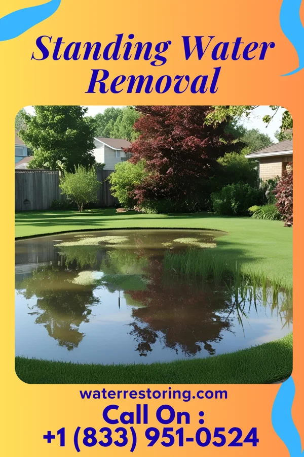 Standing Water Removal in White House, TN